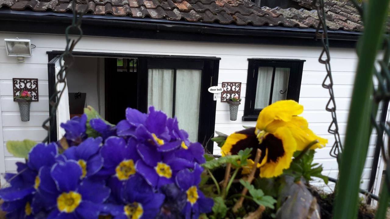 Rose Farm Bed and Breakfast Honiton Exterior foto