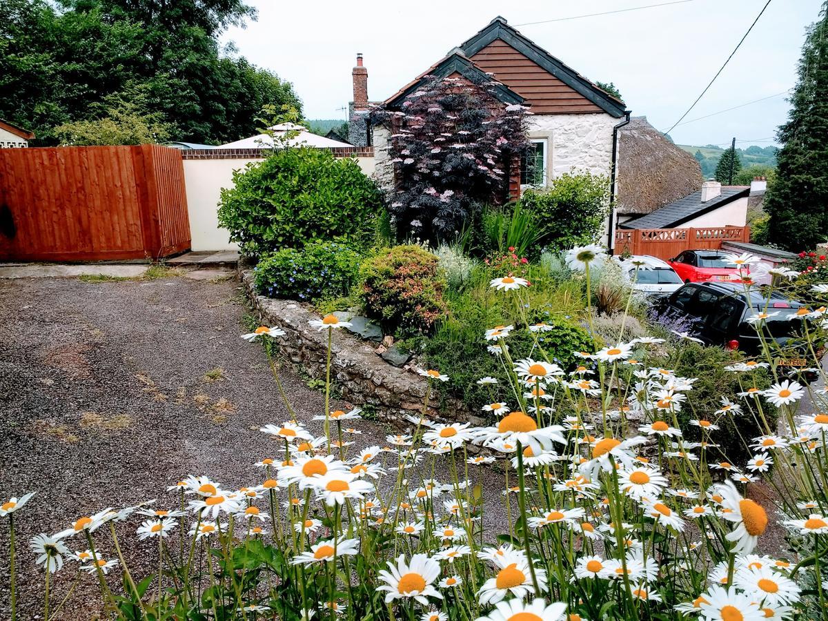 Rose Farm Bed and Breakfast Honiton Exterior foto