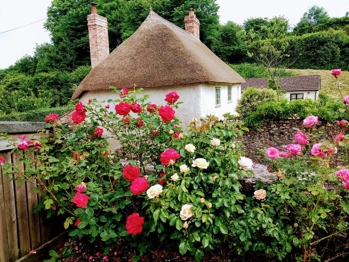Rose Farm Bed and Breakfast Honiton Exterior foto