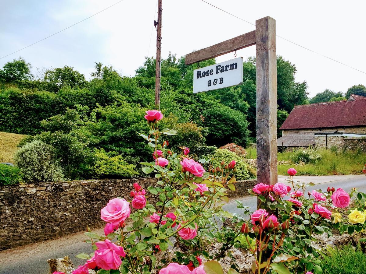 Rose Farm Bed and Breakfast Honiton Exterior foto